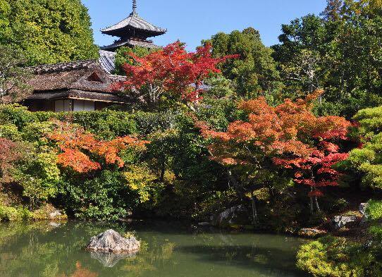 第52回京都非公開文化財特別公開
